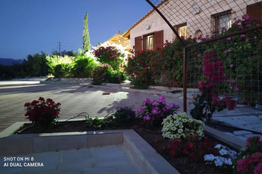 Stonehouse Olivelia - Afrathias Beach Tympaki Exterior photo