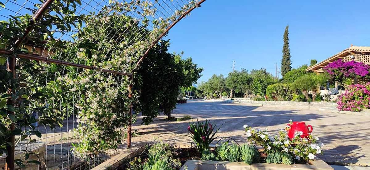 Stonehouse Olivelia - Afrathias Beach Tympaki Exterior photo